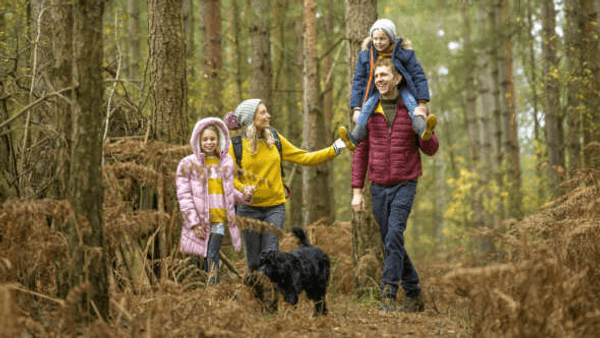 Shorefield Holidays promotion