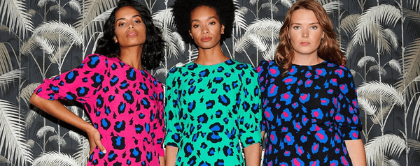 Scamp & Dude promotion