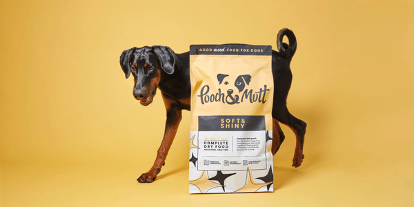 Pooch and Mutt promotion