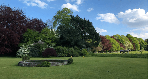 Selections promotion