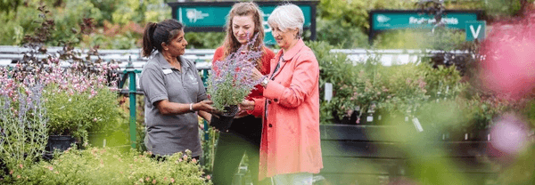 RHS Plants promotion