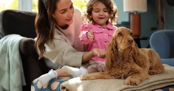 ASDA Money Pet Insurance  promotion